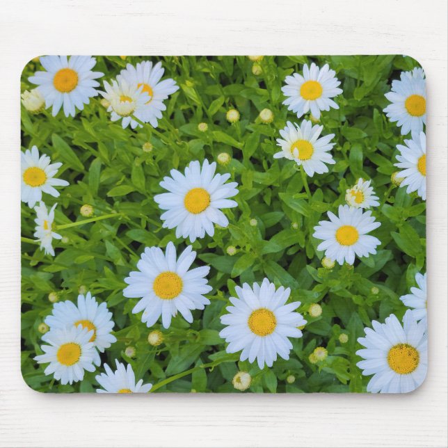 White Daisy Garden Mouse Pad (Front)