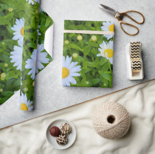 White Daisy Garden  Wrapping Paper