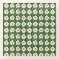 White Daisy Glass Coaster