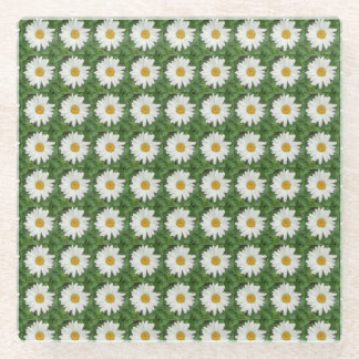White Daisy Glass Coaster