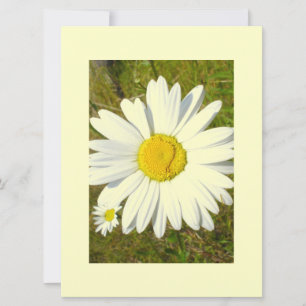 White Daisy Invitation