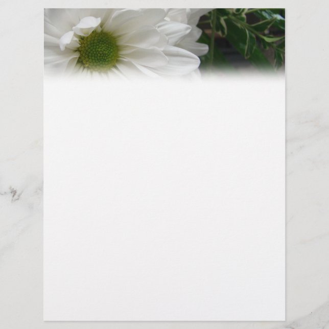 White Daisy Letterhead (Front)