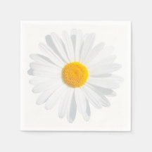 white daisy