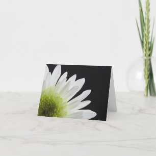 White Daisy on Black Card