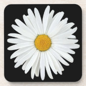 White Daisy on Black Floral Coaster (Front)