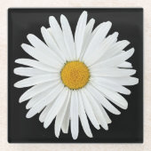 White Daisy on Black Floral Glass Coaster (Front)