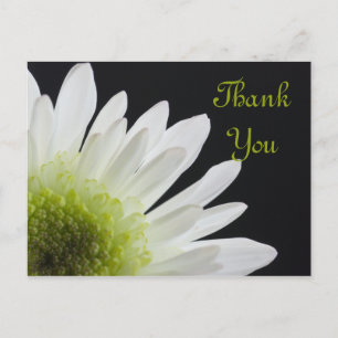 White Daisy on Black Thank You Postcard
