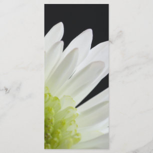 White Daisy on Black Wedding Program
