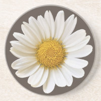 White Daisy on Dark Brown Background Floral