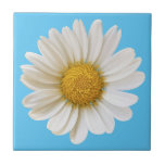 White Daisy on Sky Blue Background Ceramic Tile<br><div class="desc">A close-up photo of a beautiful white daisy.</div>