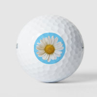 White Daisy on Sky Blue