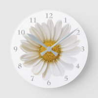 White Daisy on White Background