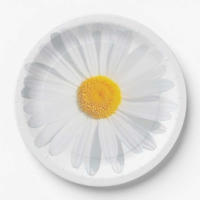 white daisy paper plate (Front)