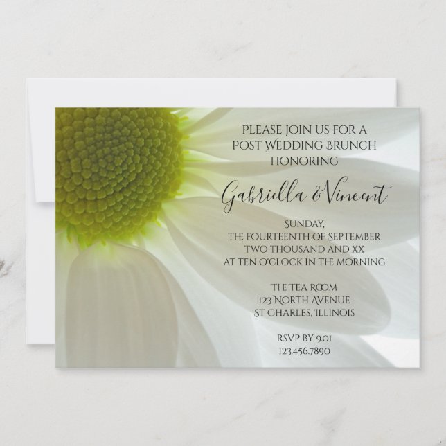 White Daisy Petals Post Wedding Brunch Invitation (Front)