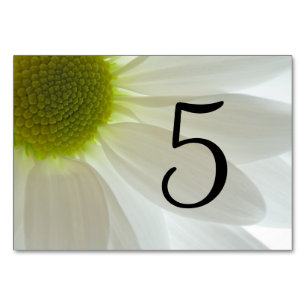 White Daisy Petals Table Numbers
