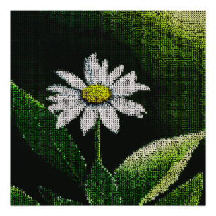 WHITE DAISY PHOTO PRINT