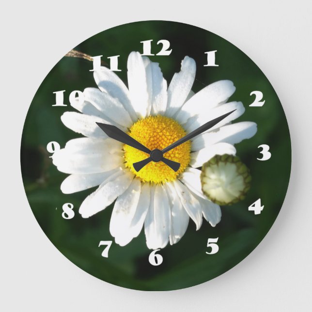White Daisy photo Wall Clock (Front)