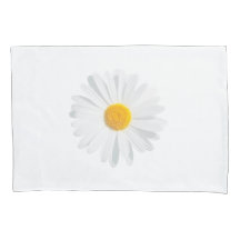 white daisy