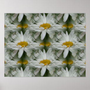 White Daisy Raindrops Flower Abstract Poster