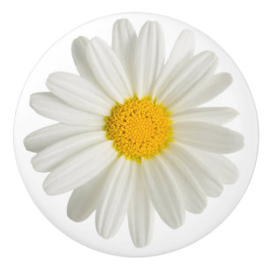 White Daisy Round Ceramic Drawer Pull Knobs