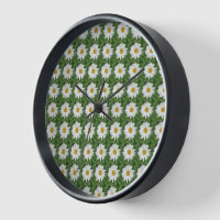 White Daisy Round