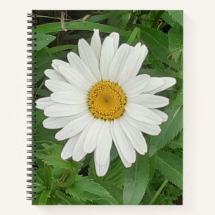 White Daisy Spiral Notebook