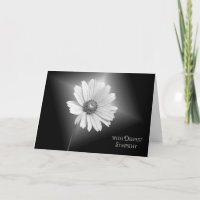 White Daisy Sympathy