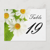 white daisy table number