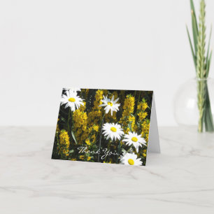 White Daisy Thank You Card