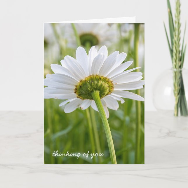 white daisy-thinking of you card (Front)