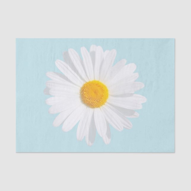 white daisy tissue paper (Front)