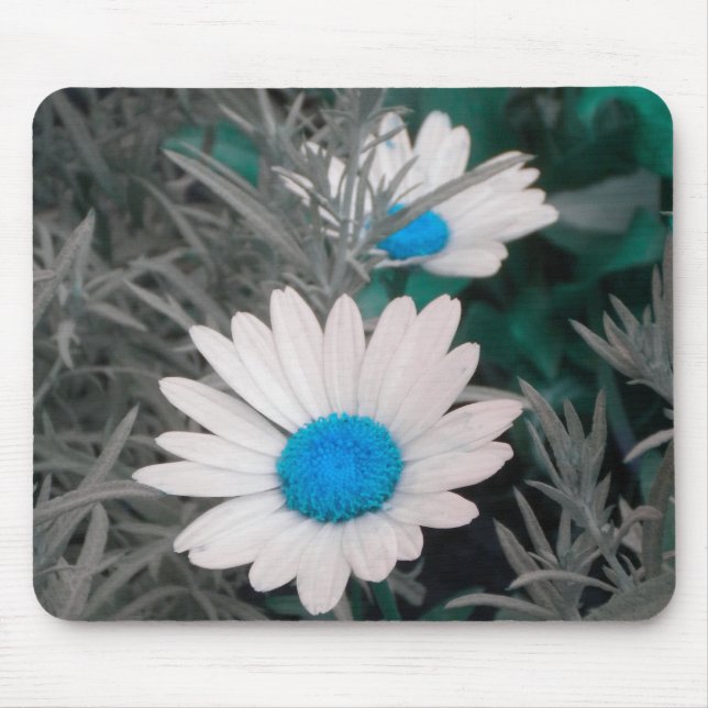 White Daisy (w Blue) mousepad (Front)