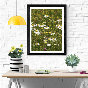 White Daisy Wildflowers Poster