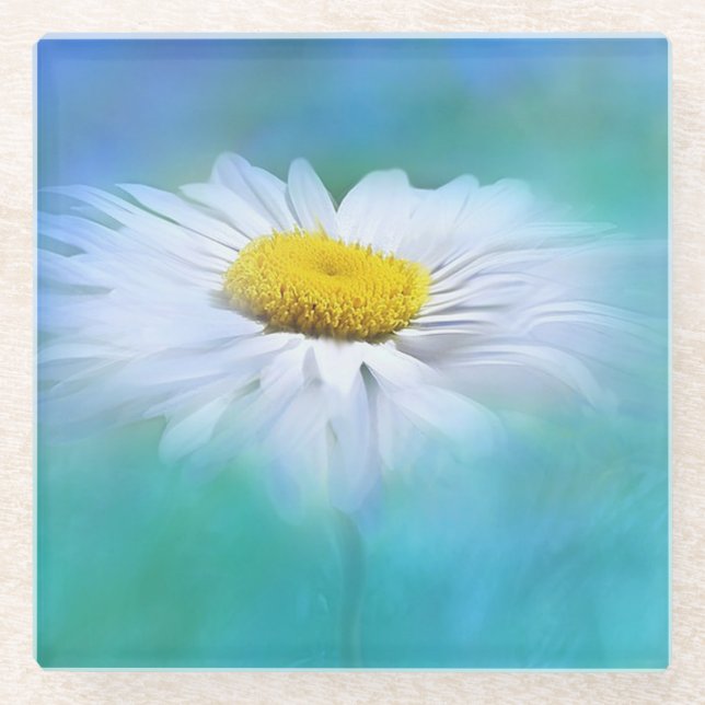 White Daisy with Blue Background Glass Coaster (Front)