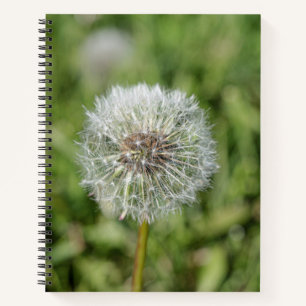 White dandelion flower on green grass notebook