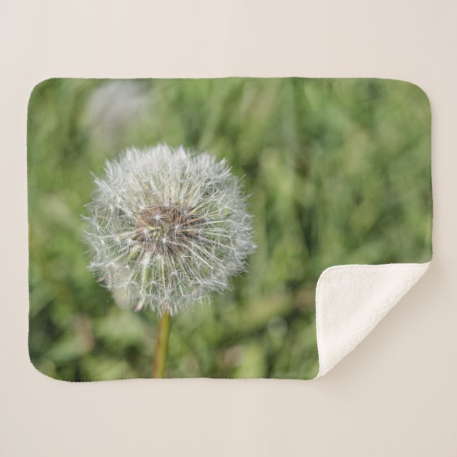 White dandelion flower on green grass sherpa blanket (Front (Horizontal))