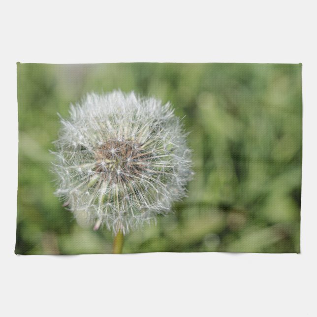 White dandelion flower on green grass tea towel (Horizontal)