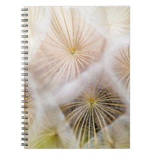 White dandelion flowers notebook