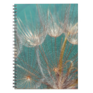 White dandelion in close up photography notebook