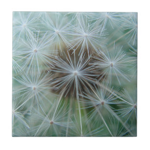 White dandelion pattern ceramic tile