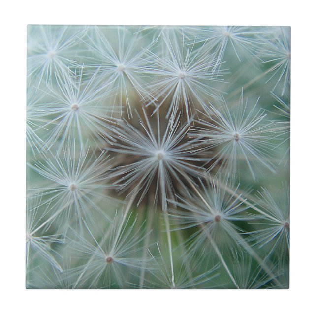 White dandelion pattern ceramic tile (Front)