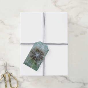 White dandelion pattern gift tags