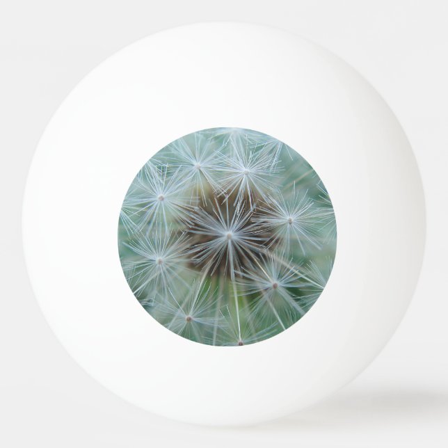 White dandelion pattern ping pong ball (Front)