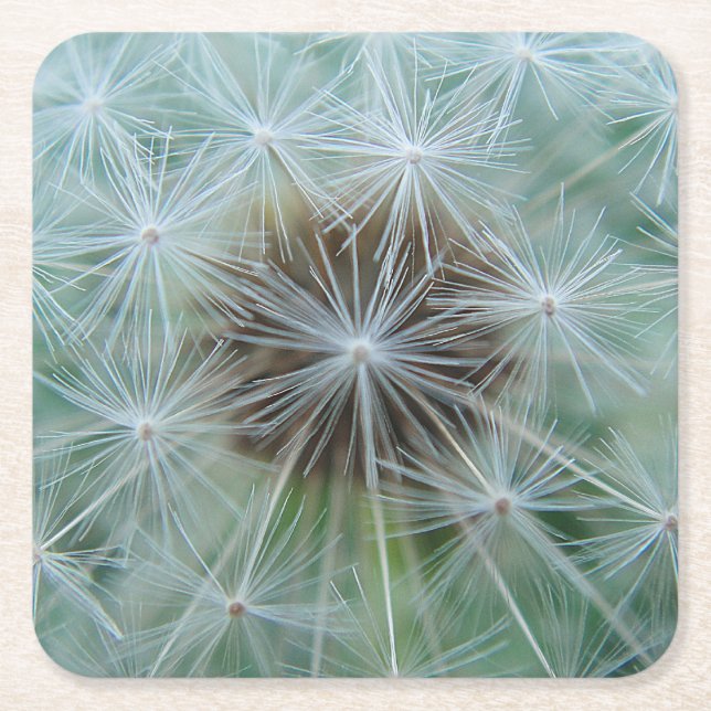 White dandelion pattern square paper coaster (Front)