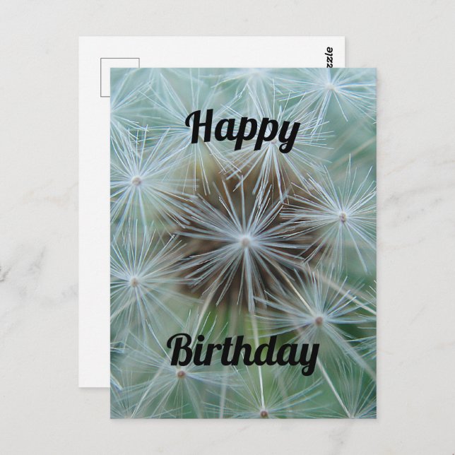 White Dandelion Postcard (Front/Back)