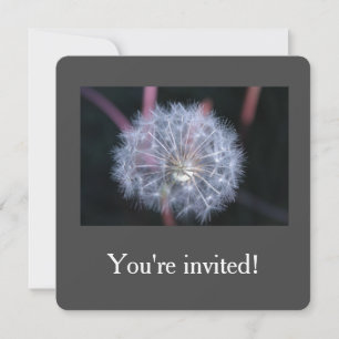 white dandelion seeds birthday party invitations. invitation