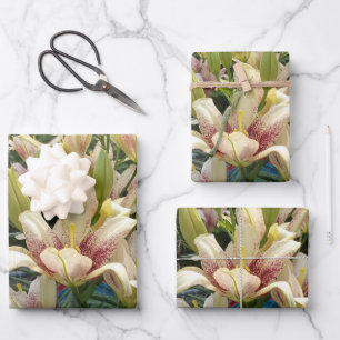 White Daylilies  Wrapping Paper Sheet
