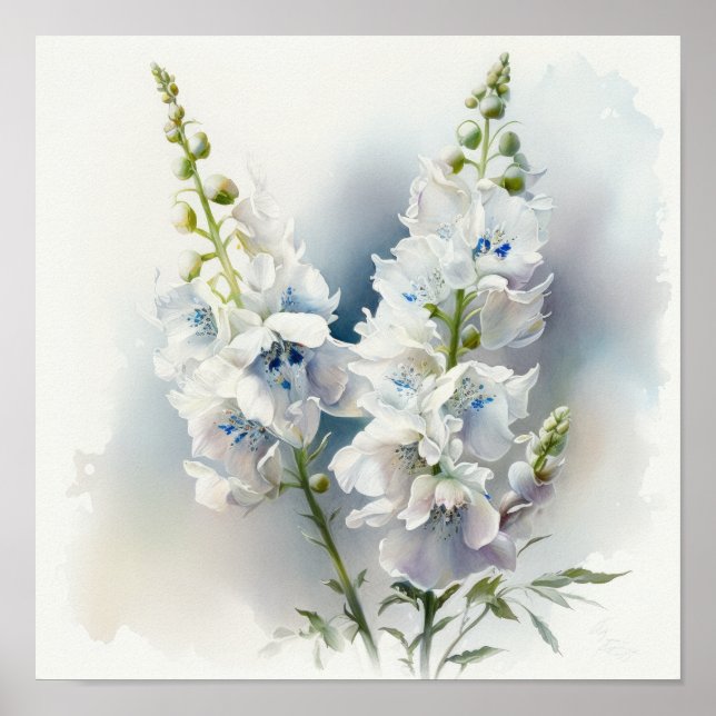White Delphinium Flower Art Print Poster (Front)
