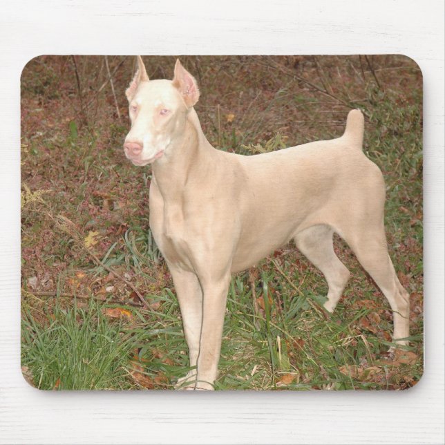 white doberman mouse pad (Front)