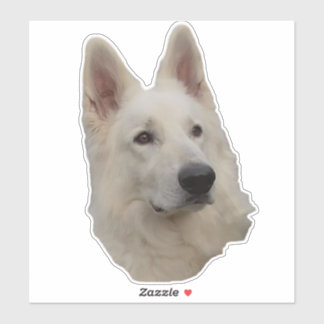 white dog